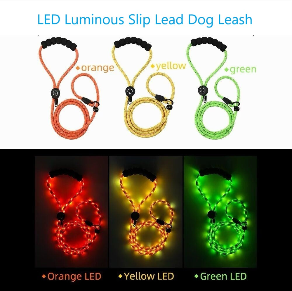 LED Luminous Slip Lead Dog Leash - 2 Types and 3 Colours (Tax-Free and Free Shipping)