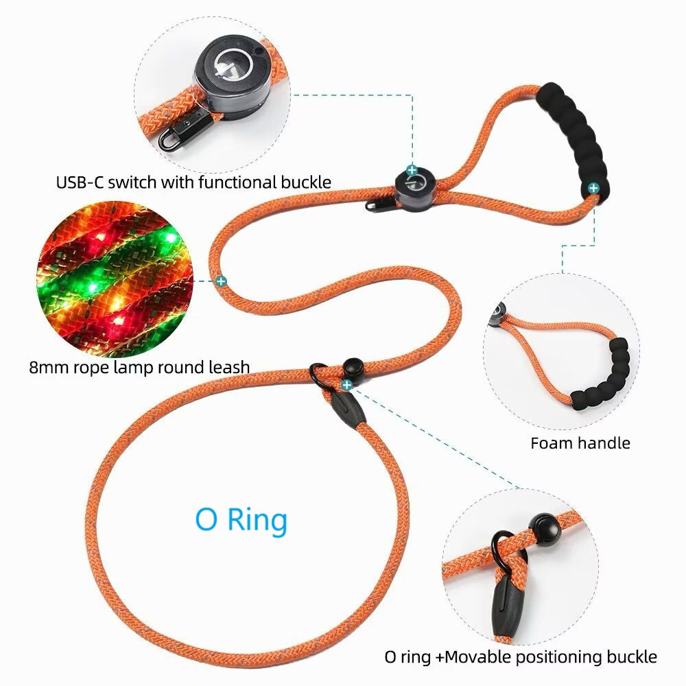 LED Luminous Slip Lead Dog Leash - 2 Types and 3 Colours (Tax-Free and Free Shipping)