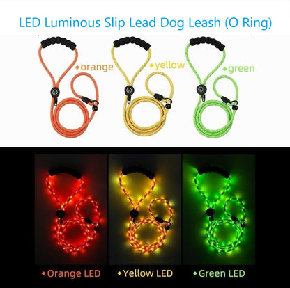 LED Luminous Slip Lead Dog Leash - 2 Types and 3 Colours (Tax-Free and Free Shipping)