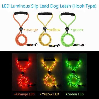 LED Luminous Slip Lead Dog Leash - 2 Types and 3 Colours (Tax-Free and Free Shipping)