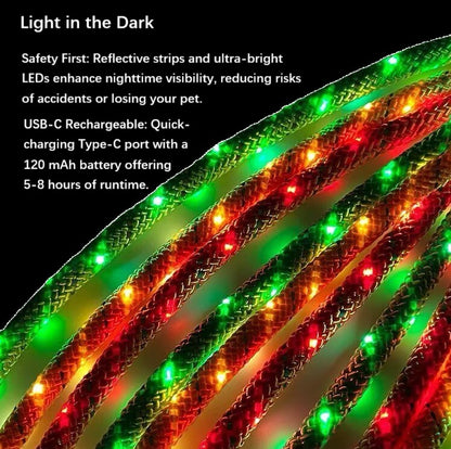 LED Luminous Slip Lead Dog Leash - 2 Types and 3 Colours (Tax-Free and Free Shipping)