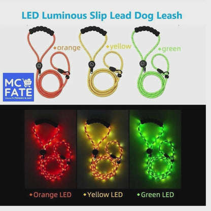 LED Luminous Slip Lead Dog Leash - 2 Types and 3 Colours (Tax-Free and Free Shipping)